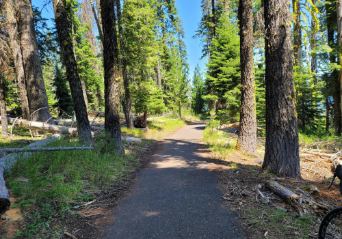 Exploring the Top Bicycle Services in Multnomah County, Oregon